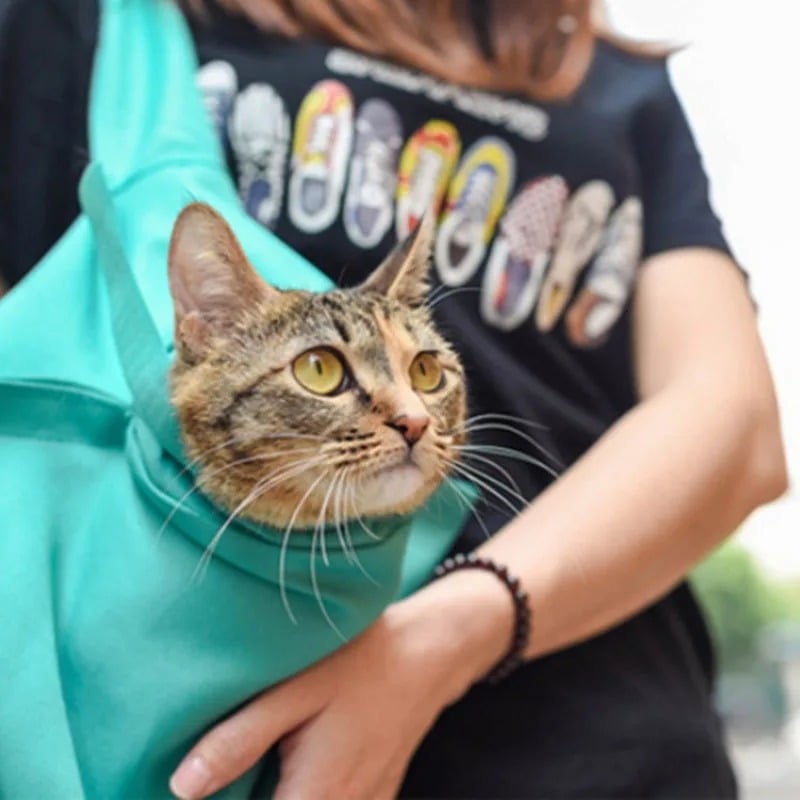 Cat Carrier Pouch