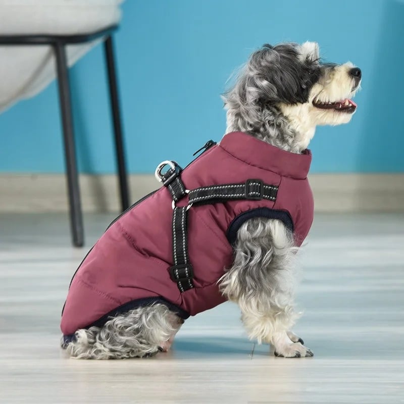 3 in 1 Winter Dog Jacket